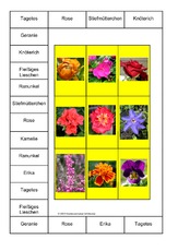 Bingo-Blumen-1A.pdf